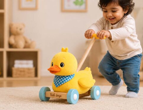 ₹599 – ₹999 Premium Plush